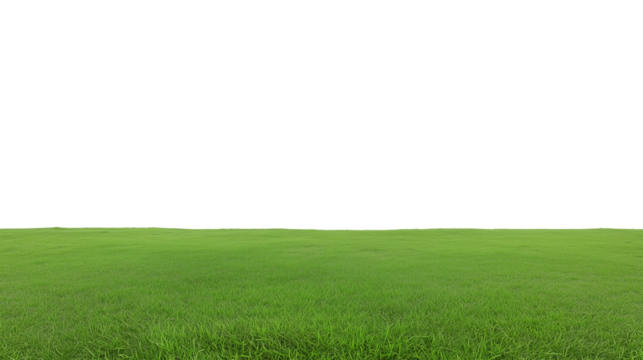 Expansive green field with clear sky and transparent background