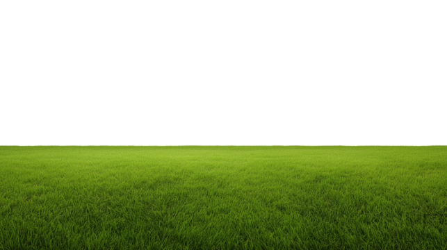 Expansive field of vibrant green grass with transparent background