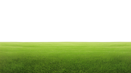 Expansive grassy field with vibrant green tones and clear sky, isolated on transparent background