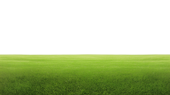 Expansive grassy field with vibrant green tones and clear sky, isolated on transparent background