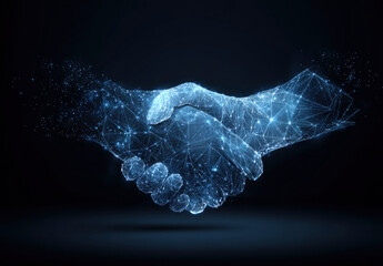 Abstract Digital Handshake: Network Connection