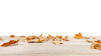 Autumn leaves scattered on a light-toned wooden surface with transparent background