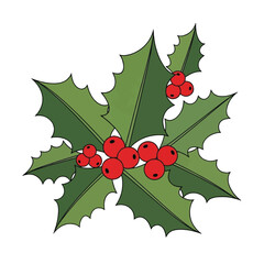 Vibrant illustration of green holly leaves with bright red berries, a classic symbol of Christmas and winter holidays.