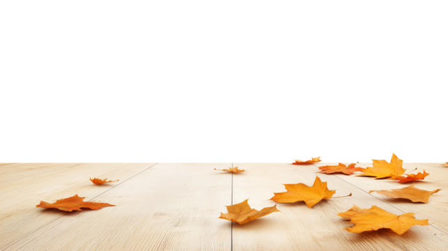 Minimalist composition of autumn leaves on a light-colored wooden floor with transparent background