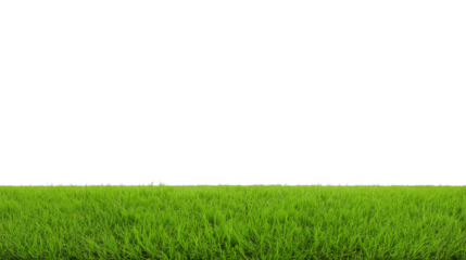 Expansive view of a lush green grassy field with a clear horizon line and transparent background