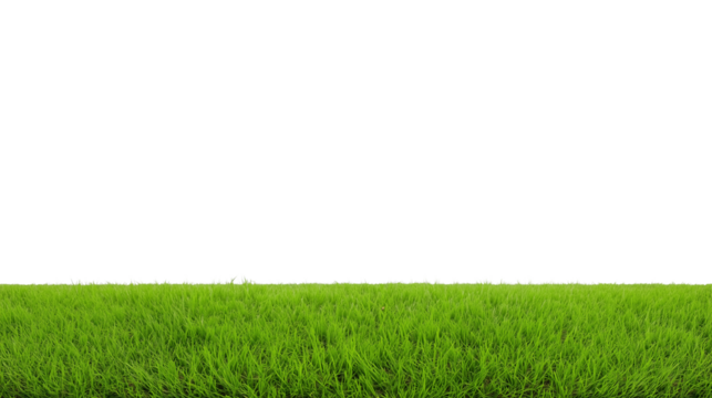 Expansive view of a lush green grassy field with a clear horizon line and transparent background