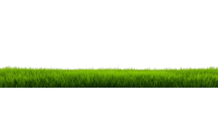 Expansive grassy field with vibrant green blades under natural daylight, transparent background