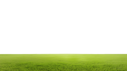 Vast green field with clear sky and horizon line on transparent background