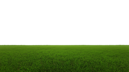 Vast grassy field with clear sky and horizon line, transparent background