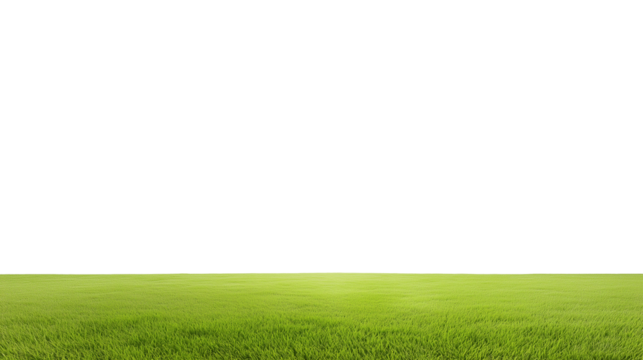 Vast green field with clear sky and horizon line on transparent background