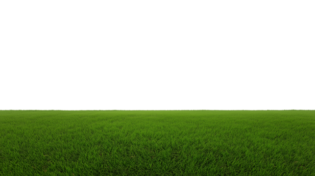 Vast grassy field with clear sky and horizon line, transparent background