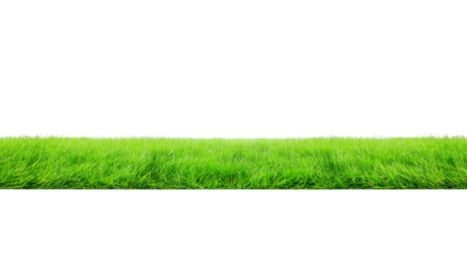 Close-up of lush green grass field with transparent background