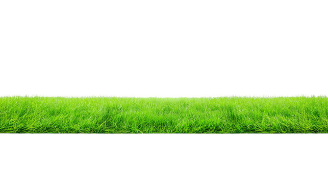 Close-up of lush green grass field with transparent background