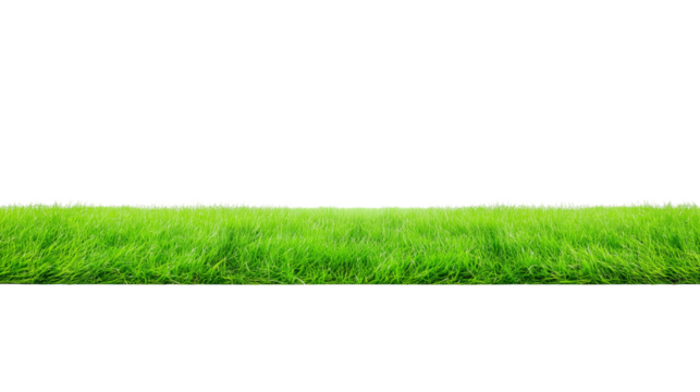 Close-up of lush green grass field with transparent background