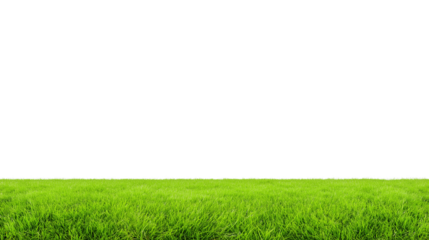 Sweeping green grassy field with clear sky and horizon line on transparent background
