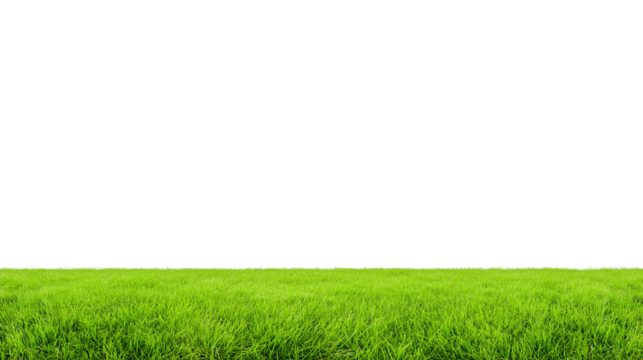Sweeping green grassy field with clear sky and horizon line on transparent background