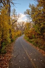 Calgary, Alberta - October 10, 2025: Fall colours along the river pathways and streets of Rideau and Elbow Park neighborhoods in Calgary, Alberta
