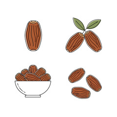 Dates Fruit Illustration Collection for Healthy Eating.