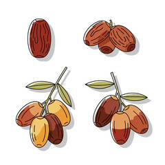 Delicious and Nutritious Dates Illustration Collection.