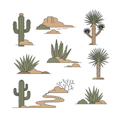 Desert Plants and Landscape Illustration Collection.