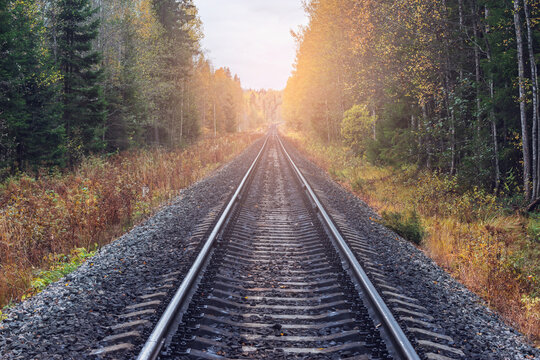 Railway line in the forest. - Powered by Adobe