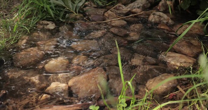 Small stream of water brook peacefully flowing on stones
