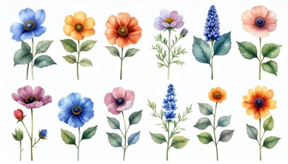 Vibrant Watercolor Floral Collection - A Beautiful Array of Hand-Painted Flowers and Botanical Elements.