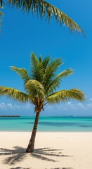 Paradiesischer, unber&uuml;hrter Sandstrand mit t&uuml;rkisfarbenem Wasser und Palmen unter strahlend blauem Himmel, einsam, Ozean, Himmel