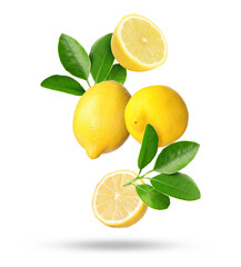 Fresh lemons and green leaves falling on white background