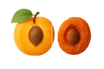 Apricot fruit halves featuring a fresh ripe half with leaf and a dried half, both with pit, showing different stages