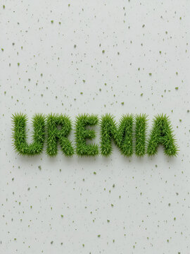 Uremia - 3D rendering fresh Grass letters isolated on whhite background.