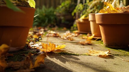 Autumn leaves and terracotta pots, sunlit garden path, close - up view, copy space