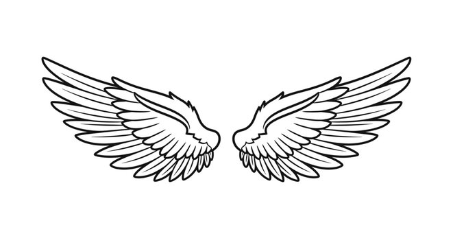 Stylized wing pair graphic illustration featuring clear definition and symmetry in vector format