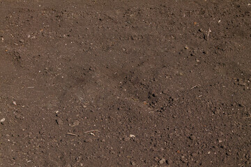 Close-Up Texture of Dark Fertile Dirt on Rural Ground