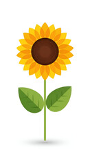 Standing Sunflower Graphic on White Background