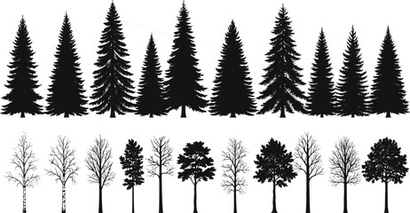 Tree silhouettes, coniferous trees, deciduous trees, foliage comparison, forest shapes, botanical reference, nature design, seasonal trees, tree types, black white
