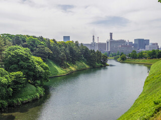Fototapeta premium 【東京都】千代田区・千鳥ヶ淵公園