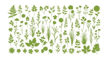 Obraz premium A large collection of botanical silhouettes featuring floral elements. Includes branches, leaves, herbs, flowers, and wild plants. A collection of leaves and foliage from gardens, meadows, and fields