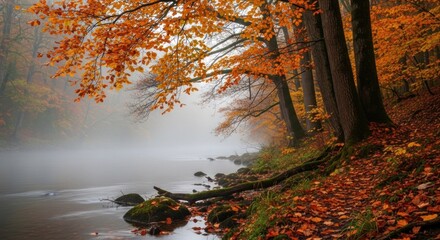 Autumnal Riverbank: Misty Waters, Vibrant Foliage, and Mossy Stones