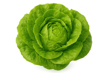 Fresh green butterhead lettuce with natural leaves, providing healthy food for vegetarian and vegan diets. Isolated, top view