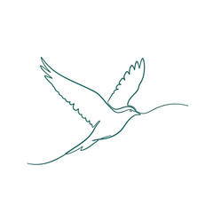 Obraz premium Adobe Illustrator Artwork