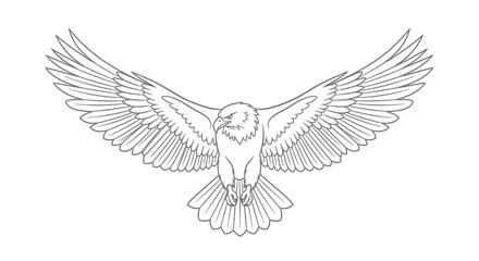 Majestic bald eagle soars with powerful wings an original line drawing illustration minimal design