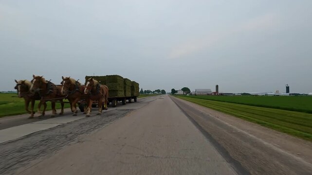 A wagon full of bales of hay is being pulled by a beautiful herd of draft horses. Located in the heart of Illinois Amish country - Arthur, Illinois.
