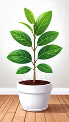 Potted plant against a white wall