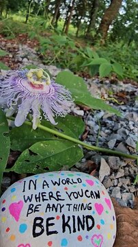 Be kind kindness rock with passionflower blowing in wind vertical video