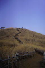 민둥산 억새 축제