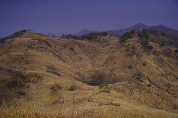 민둥산 억새 축제