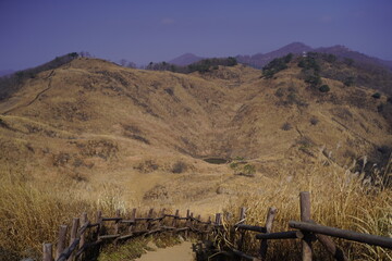 민둥산 억새 축제