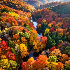 Aerial view of a winding river surrounded by a vibrant, colorful forest in peak autumn foliage. Various trees and foliage