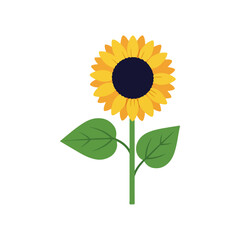 Isolated Flat Illustration of a Sunflower with Green Leaves and Stem on a White Background Vector Art